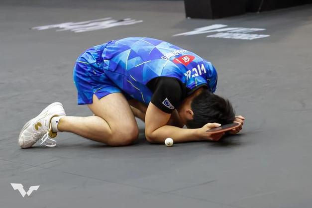 关于法国羽毛球队碾压泰国羽毛球队，陶菲克统治全场的信息