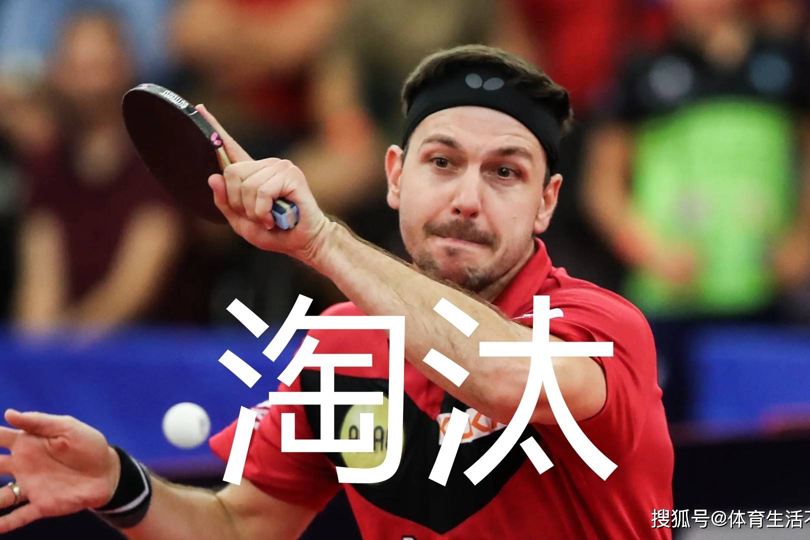 日本乒乓球队绝地反击英国乒乓球队，波尔送出助攻的简单介绍